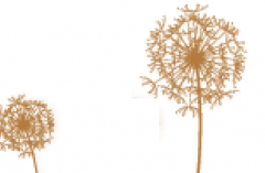 W(wng)վ½ѹӢ(dng)B(ti)ЧĴa