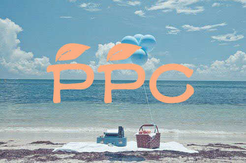 ppcʲô˼?