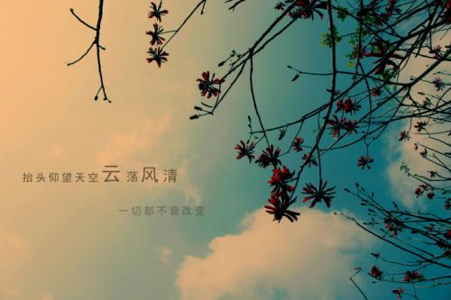 SEOW:ٶȷ~gٶȷ~