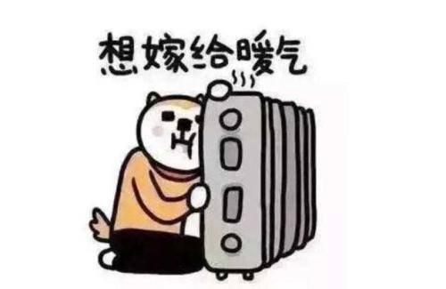 冷的圖片可愛句子發朋友圈