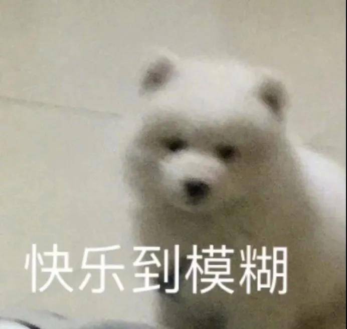沙雕文案搞笑句子