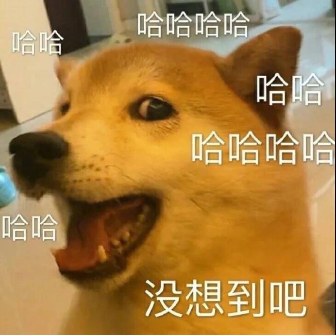 沙雕文案搞笑句子