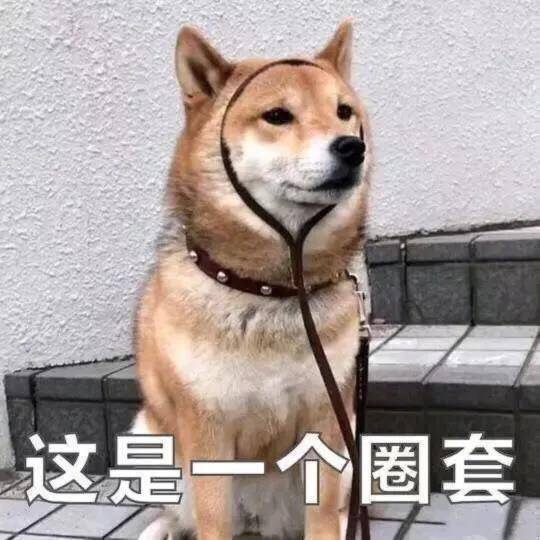 沙雕文案搞笑句子
