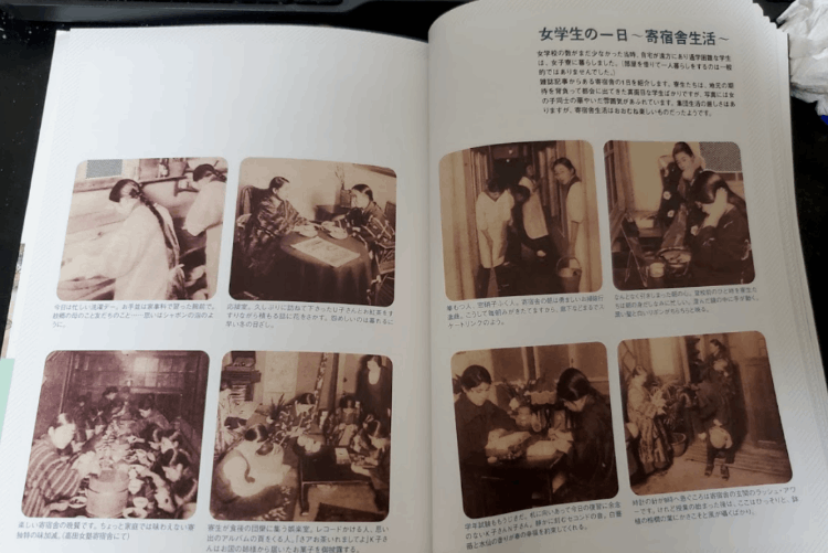 百合是什么意思(百合是如何起源的)