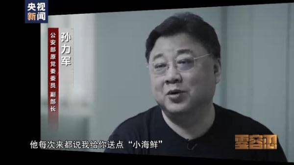 孫力軍“小圈子”成員集體落馬 案件細節披露