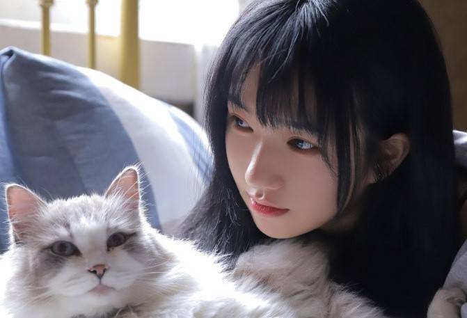 能讓女生感動的表白情話句子