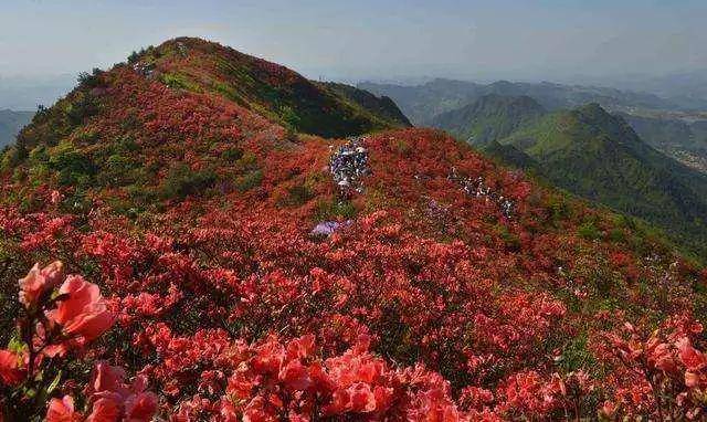 一唱起《映山紅》，就覺(jué)得紅軍來(lái)了