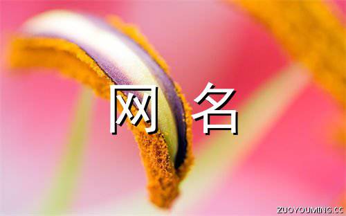 起什么網名好聽又旺財運昵稱推薦