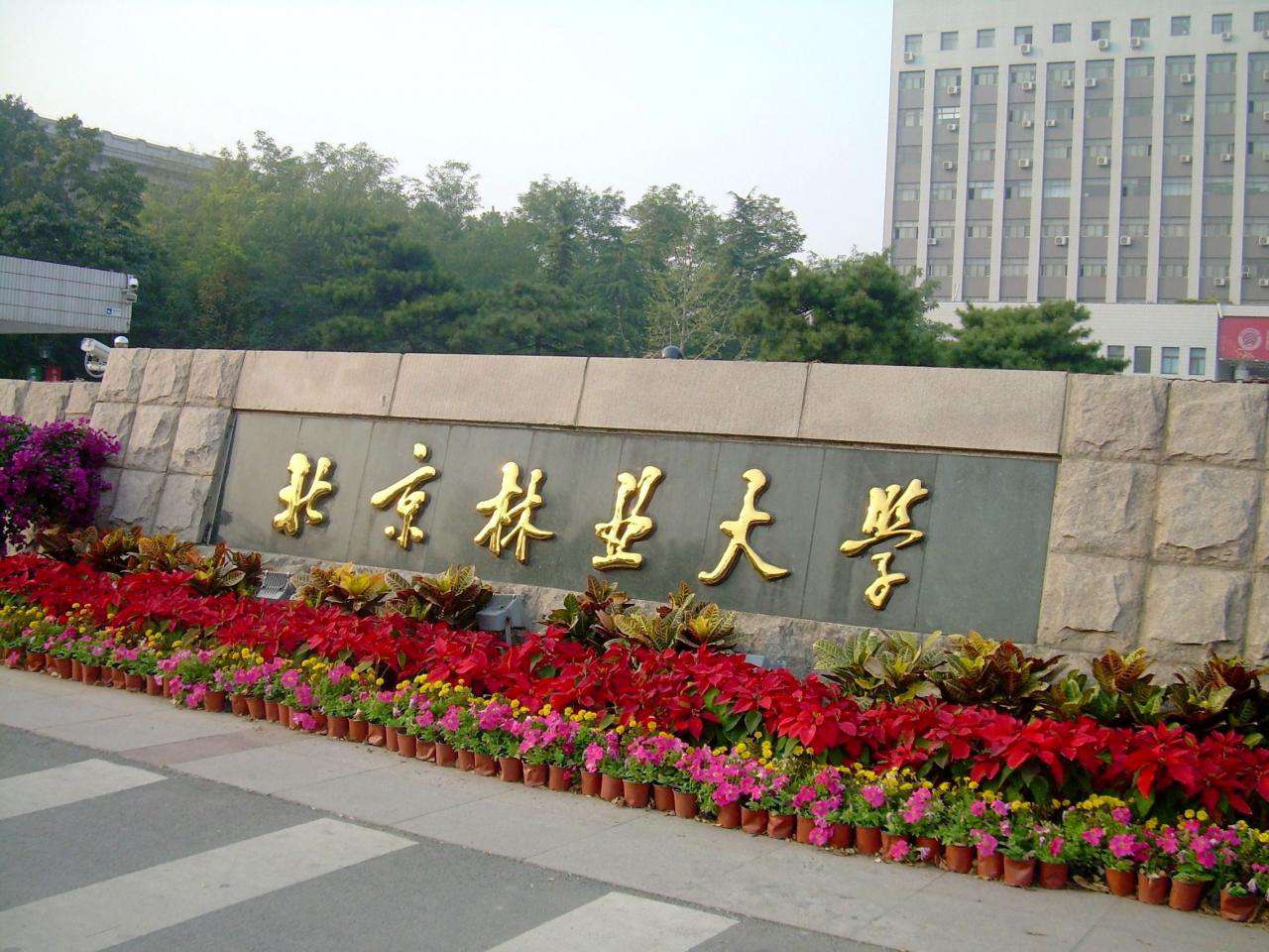 北京林業(yè)大學(xué)：2021年錄取詳情及簡(jiǎn)要分析