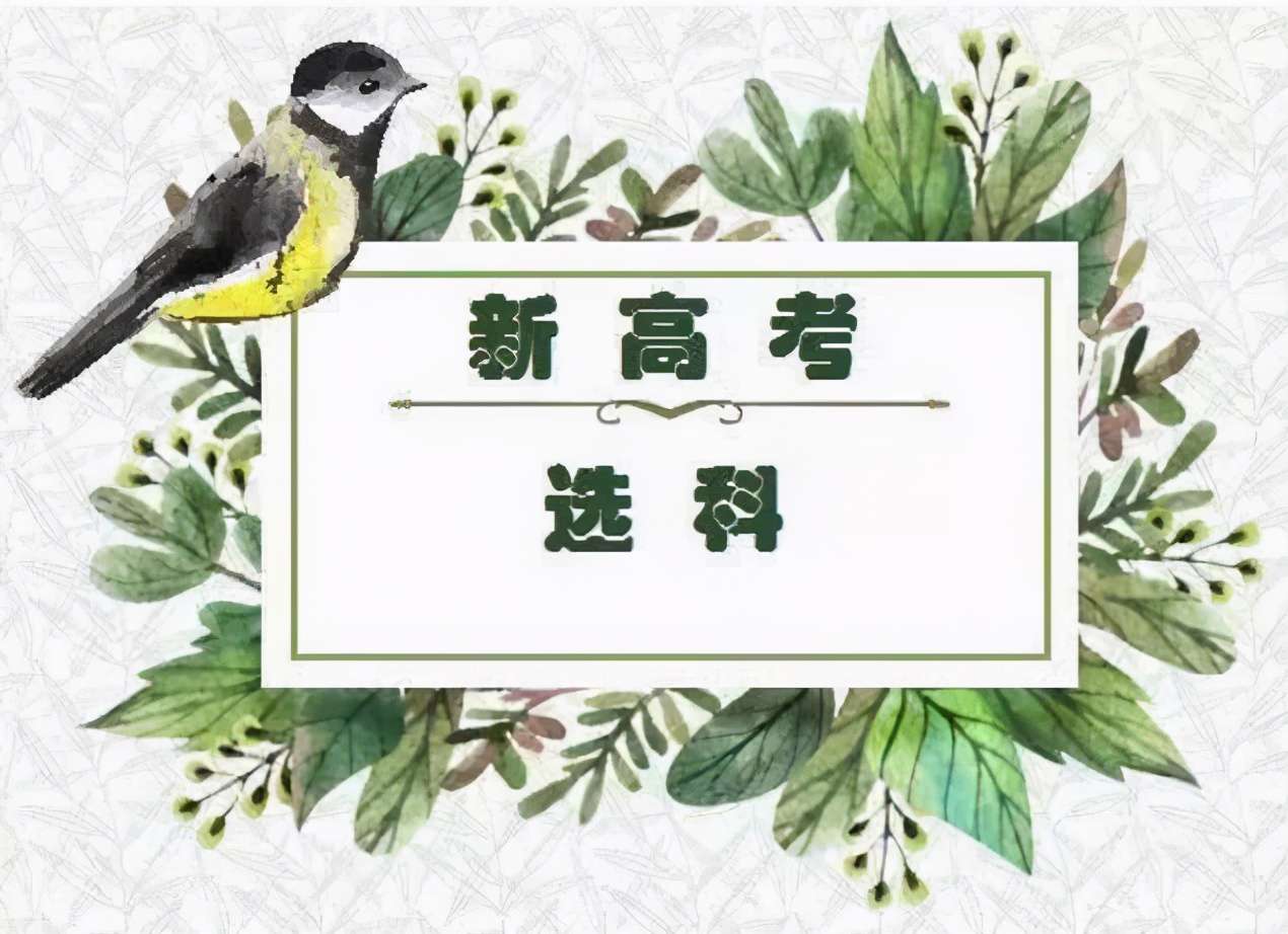 新高考3+1+2模式，哪種科目組合最受歡迎？高中生如何選科？