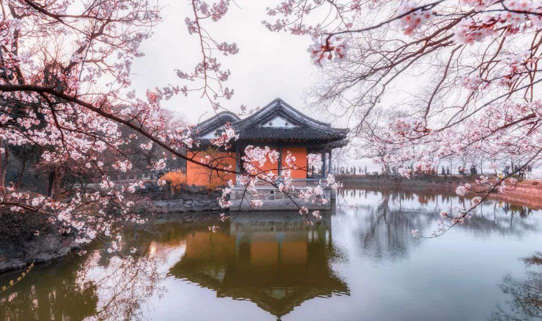 10首清明詩(shī)詞，落花飛絮，春意闌珊，最美人間四月天