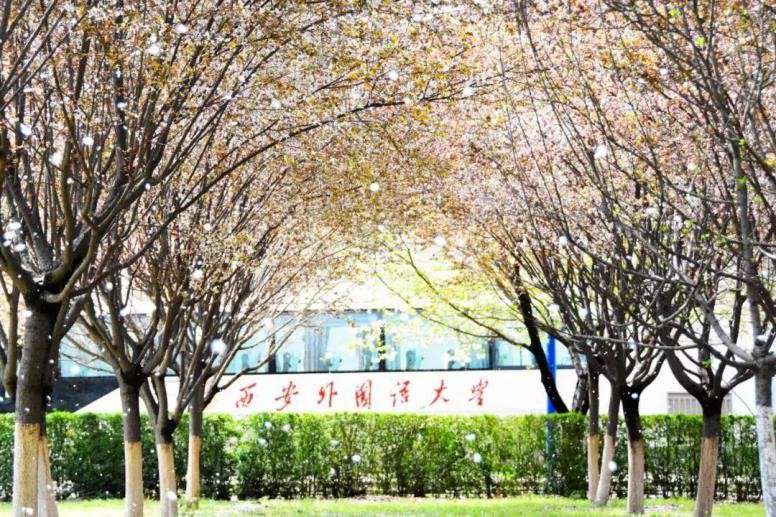 西安外國語大學排名第幾(2022年翻譯專業(yè)排名第一)