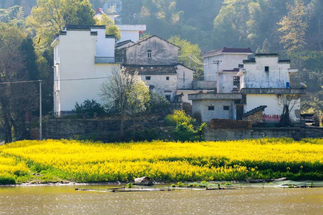 10首清明詩(shī)詞，落花飛絮，春意闌珊，最美人間四月天