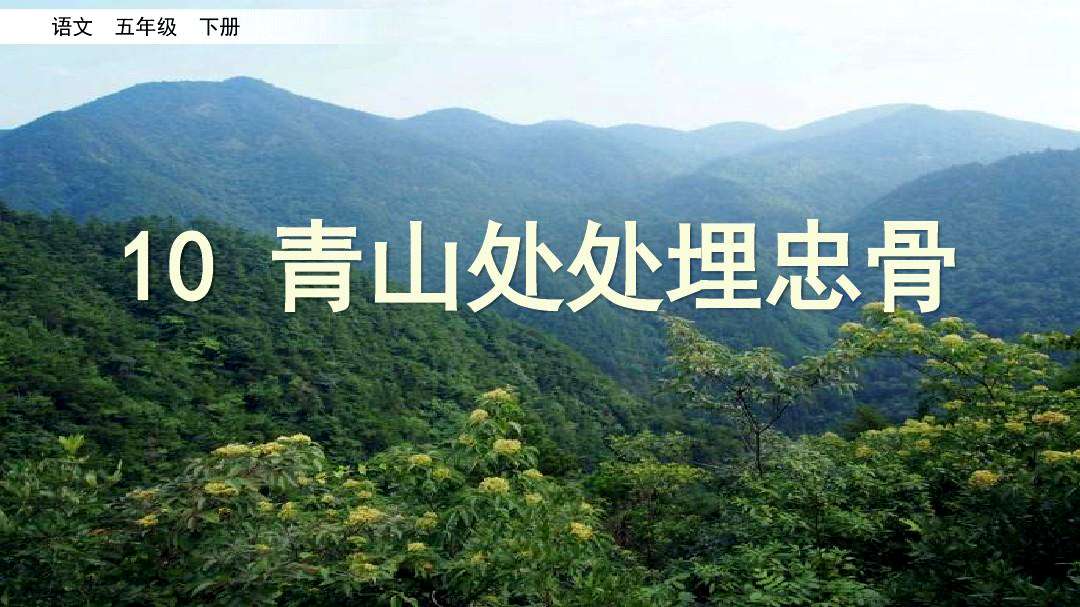 青山處處埋忠骨何須馬革裹尸還的意思(要點解析)