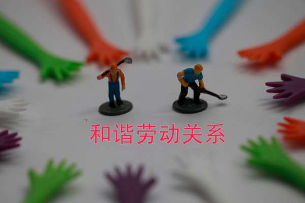 hr是什么職業(人力資源主要做什么)