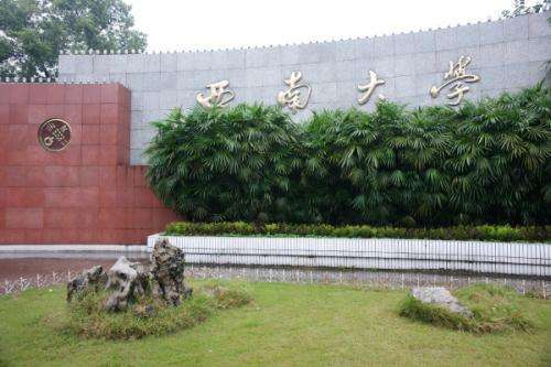 是211大學，全國排名37，能培養公費師范生，西南大學值得報考