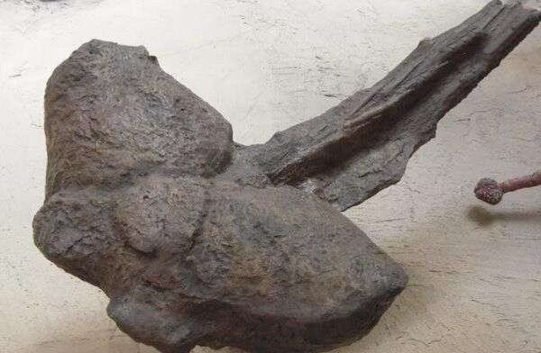 地球史上十大最強(qiáng)恐龍