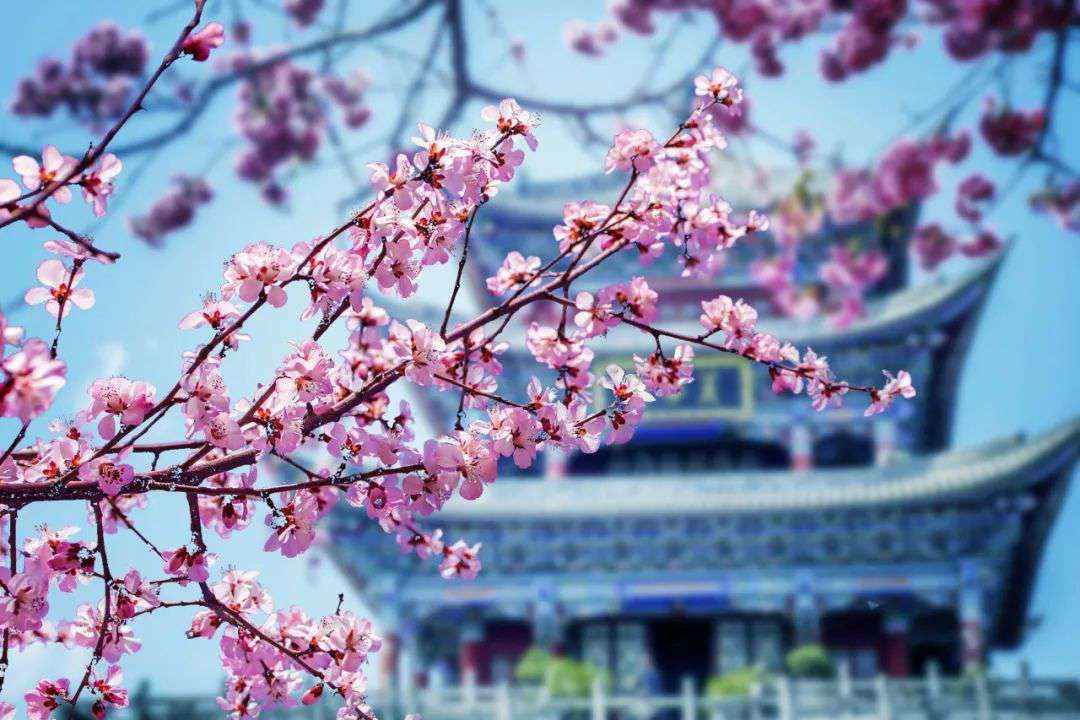 10首清明詩(shī)詞，落花飛絮，春意闌珊，最美人間四月天