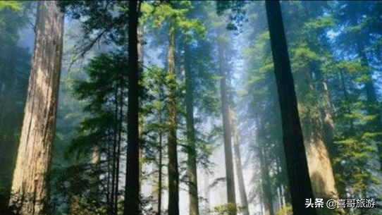 柳州景點(diǎn)景點(diǎn)排名(柳州市附近好玩的十大旅游景點(diǎn))