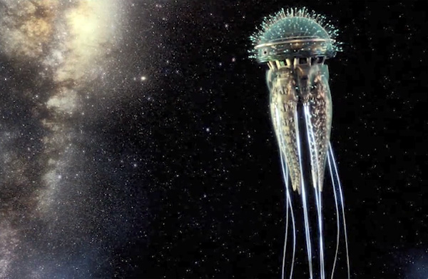 三體文明等級排序(三體中的人類是幾級文明)