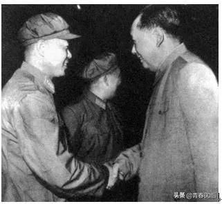 岳振華老婆簡(jiǎn)歷是什么