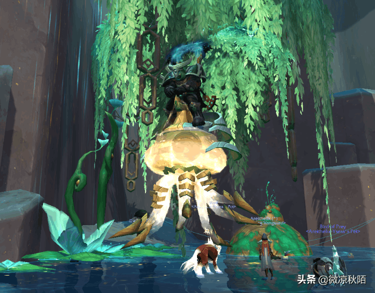 魔獸世界容易獲得的坐騎(魔獸世界十大必拿坐騎)