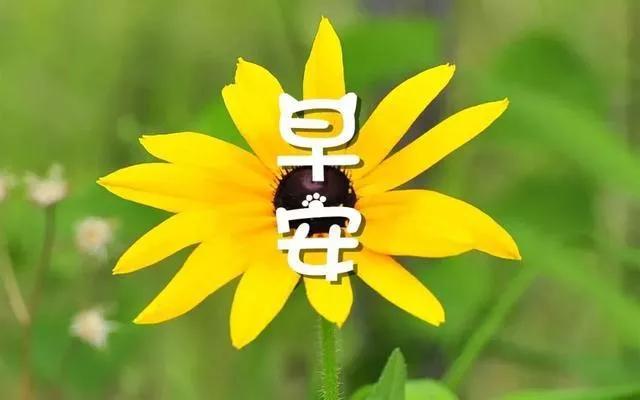 撩人早安情話最暖心短句