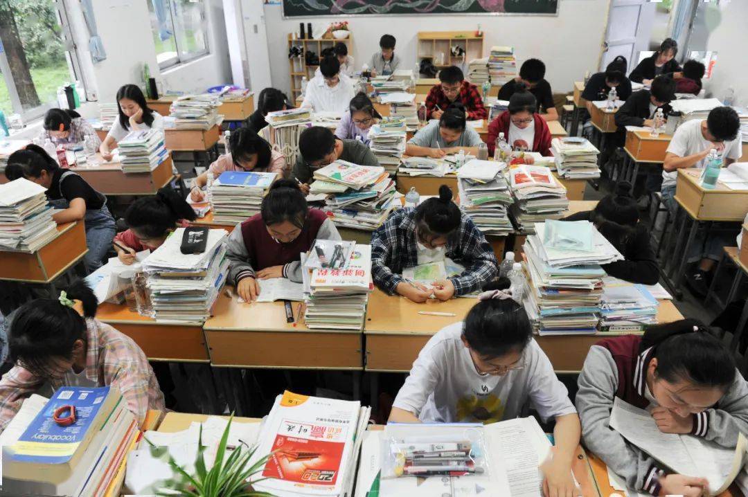 能上一本的學生占多少(全國一本率有多少)