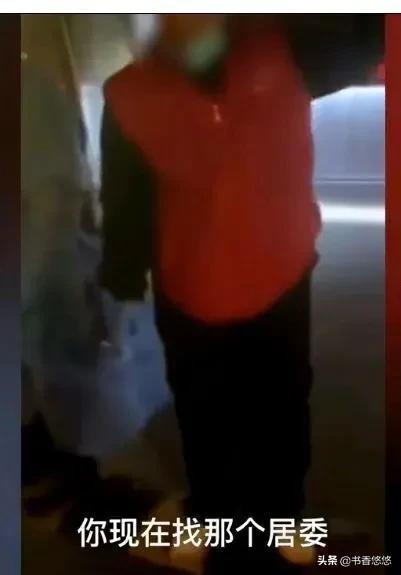 上海一柯基被打死(上海被打死柯基主人發聲)