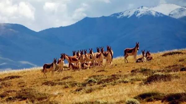 中國最可怕的無人區(無人區真的那么亂嗎)