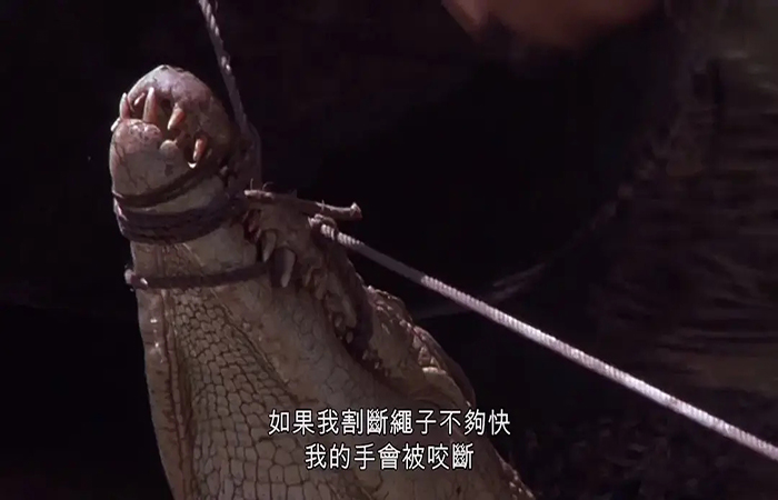 鱷魚電影十大恐怖電影(所有鱷魚電影大全)