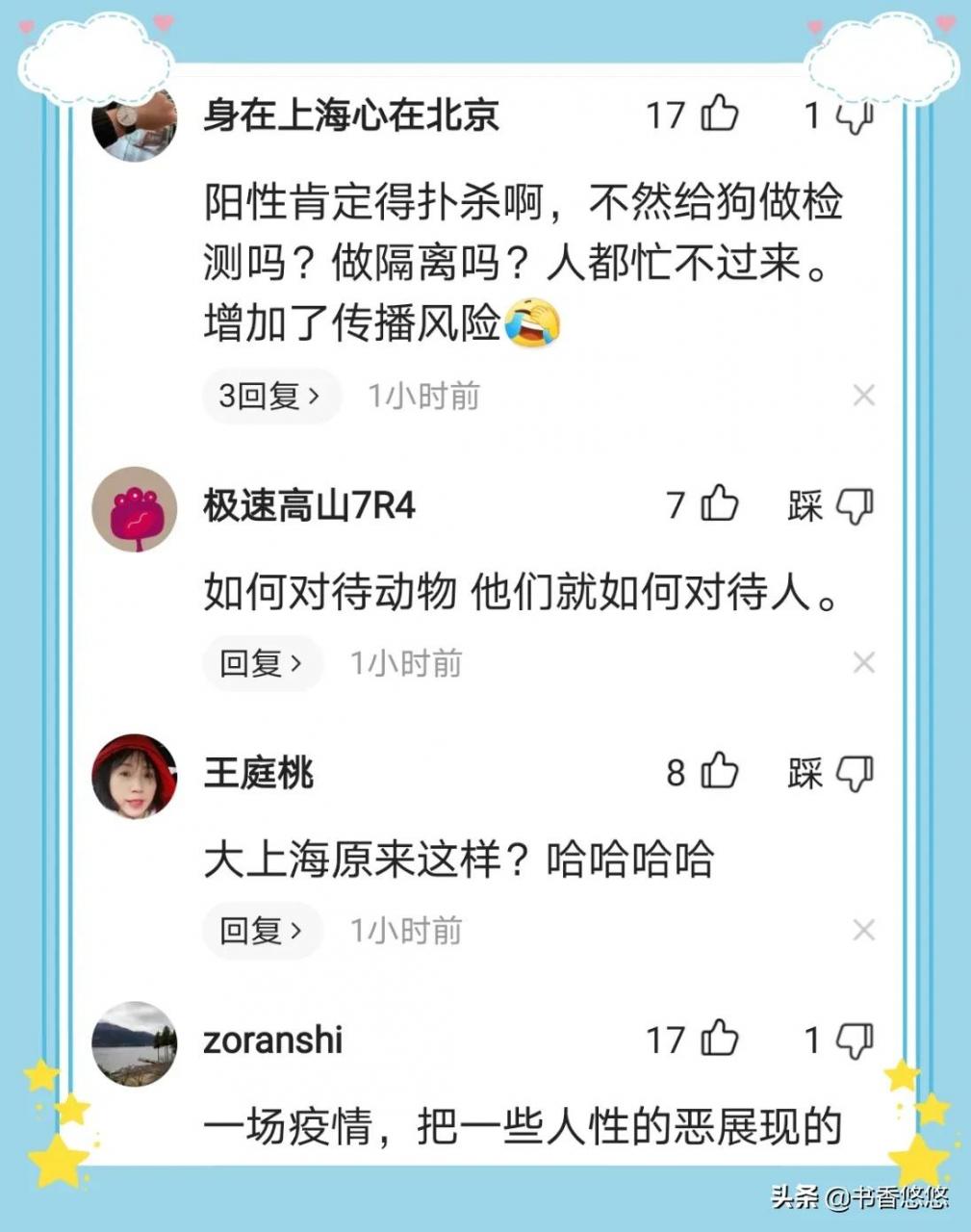 上海一柯基被打死(上海被打死柯基主人發聲)