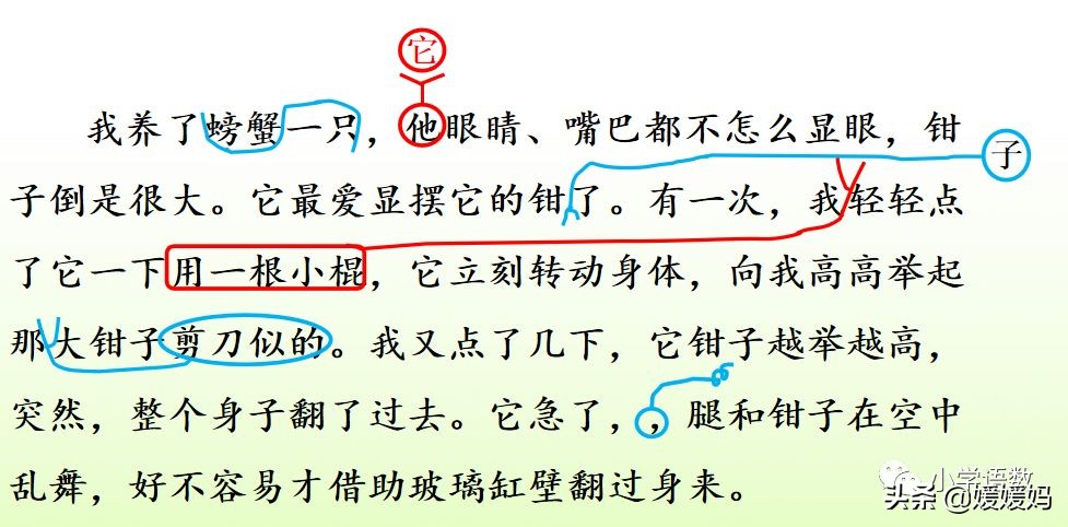 先寫現象再提出問題的句子