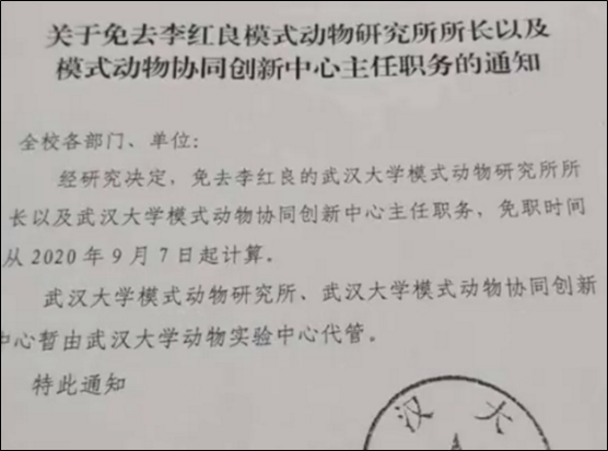 憑什么護士長可以管醫生(護士長在醫院地位高嗎)