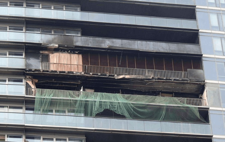 林生斌的保姆是怎么回事過程（保姆什么關系為什么點火）