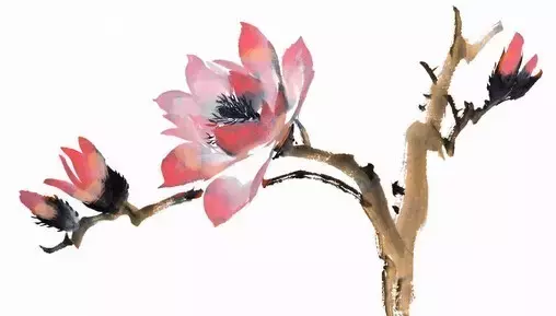 中華常用成語(yǔ)大全，學(xué)以致用便可出口成章