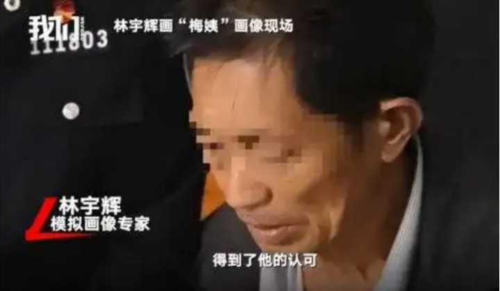 梅姨抓到了嗎(至今未歸案)