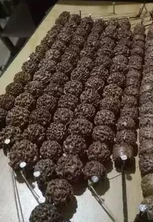 虐狗不如虐金剛！SM攻略奉上~