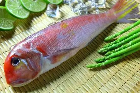 海魚有哪些(常見海魚大全,附圖片)