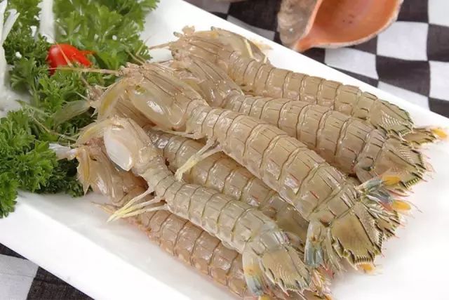 海魚有哪些(常見海魚大全,附圖片)