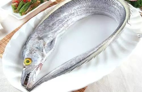 海魚有哪些(常見海魚大全,附圖片)