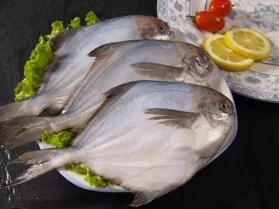 海魚有哪些(常見海魚大全,附圖片)
