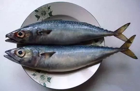 海魚有哪些(常見海魚大全,附圖片)