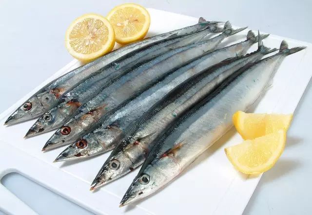 海魚有哪些(常見海魚大全,附圖片)