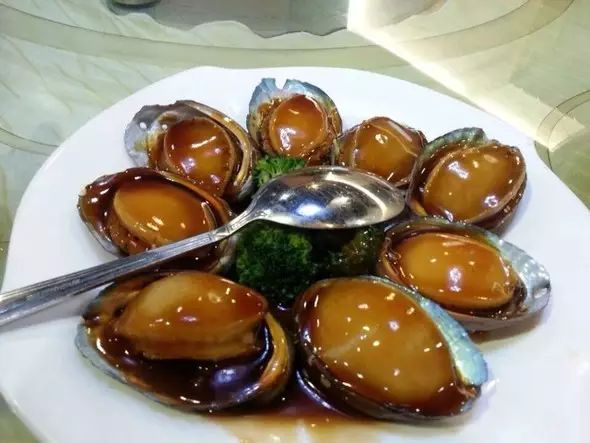海魚有哪些(常見海魚大全,附圖片)