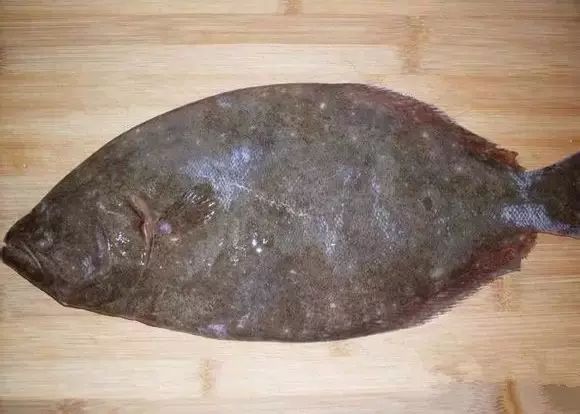海魚有哪些(常見海魚大全,附圖片)