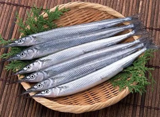 海魚有哪些(常見海魚大全,附圖片)
