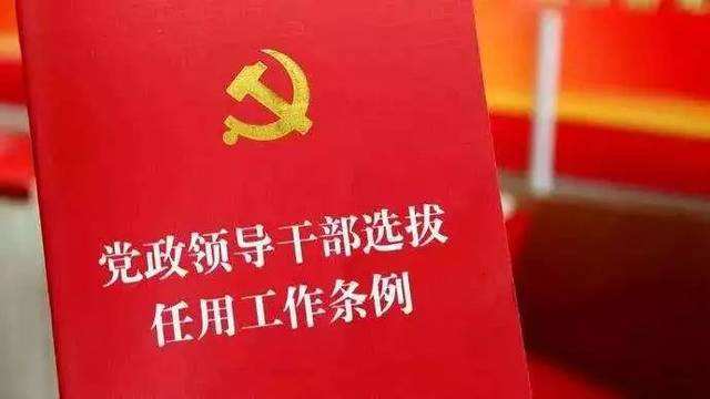 二級巡視員是什么級別(二級巡視員的待遇)