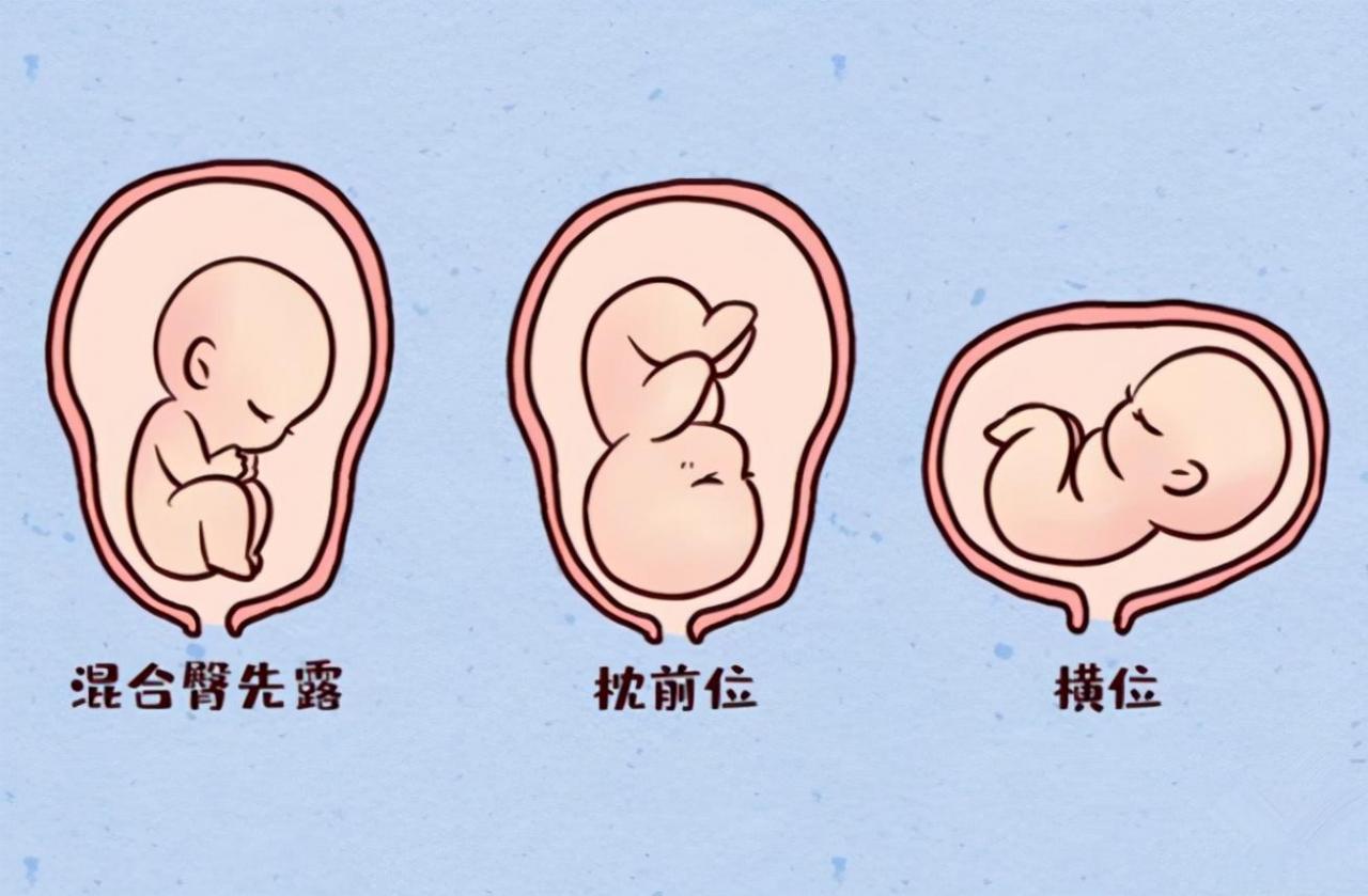 男孩和女孩鼓包區(qū)別圖(孕肚鼓包和不鼓包的因素)