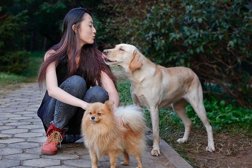 為什么女人喜歡養狗(為什么很多女人喜歡養狗)